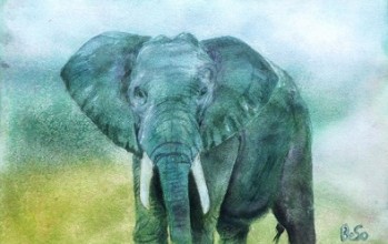 Elefant Bettina Sonnenberg